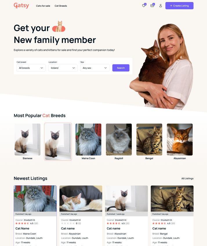 Catsy.ie platform preview showing cat listings
